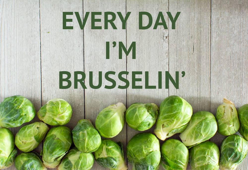 picture of brussels sprouts-every day i'm brusselin