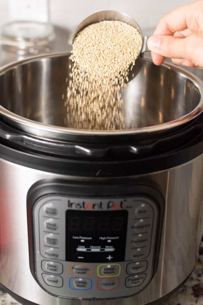 Ingredients for quinoa porridge being added to instant pot