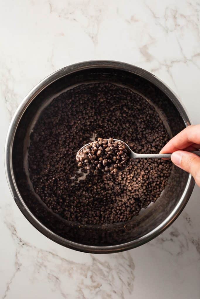 Spoonful of cooked black lentils.